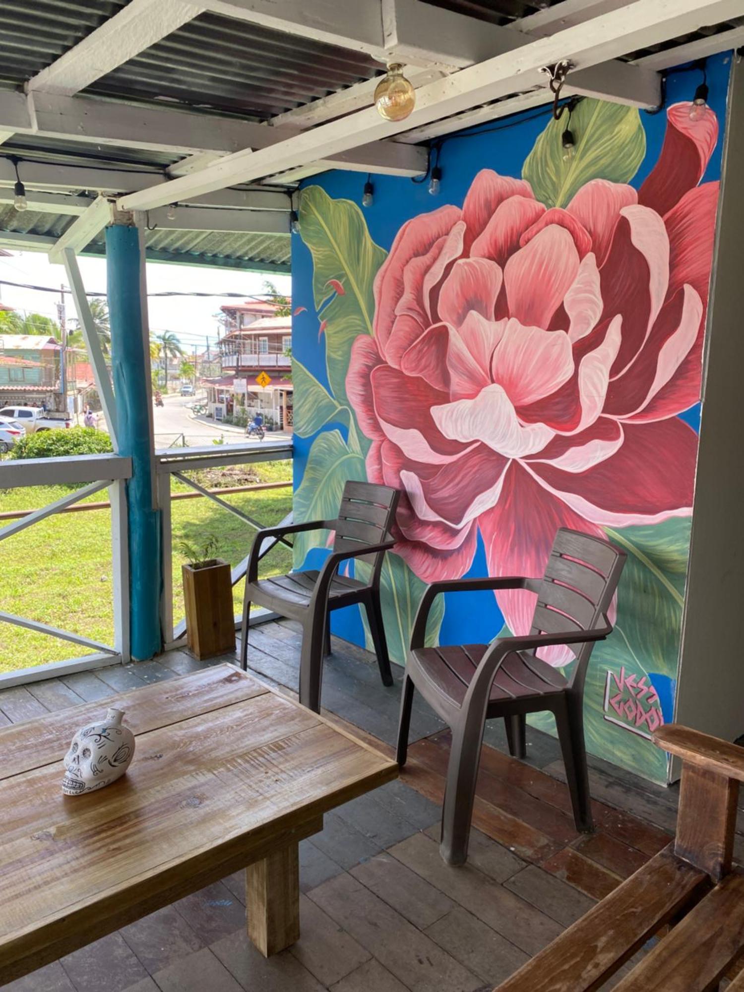 הוסטל בוקס דל טורו The Bocas Corner מראה חיצוני תמונה
